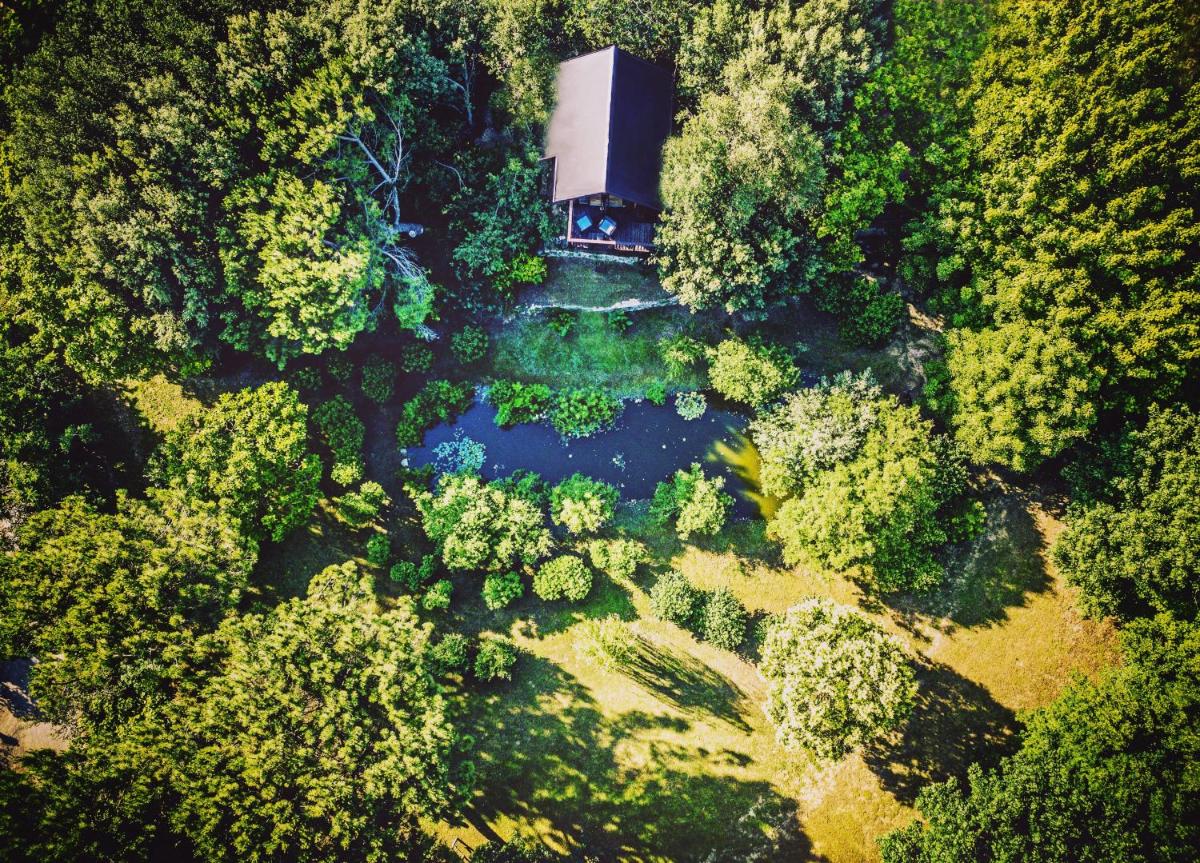 Casa sull'Albero Awen - Casa Vacanze - Housity