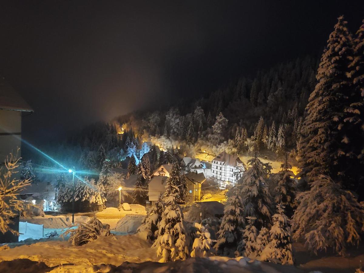 Villa Kostic Kopaonik - Housity