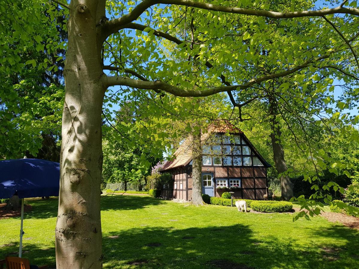 Gästehaus am Kattensteert - Housity
