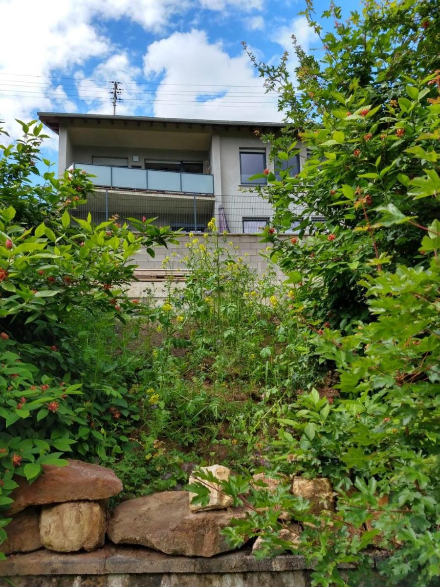 Ferienhaus Fräulein Frenz - Housity