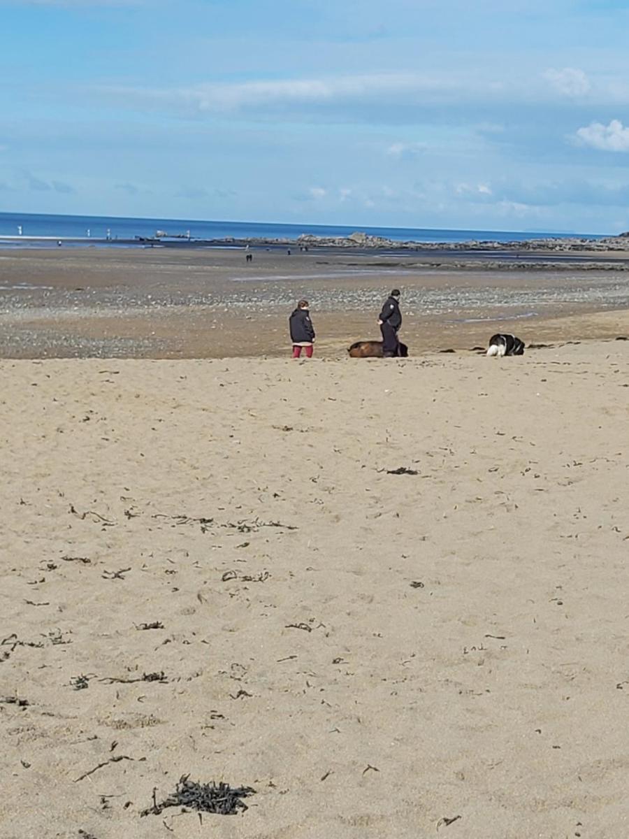 Caravan on the Devon\Cornwall border - Housity