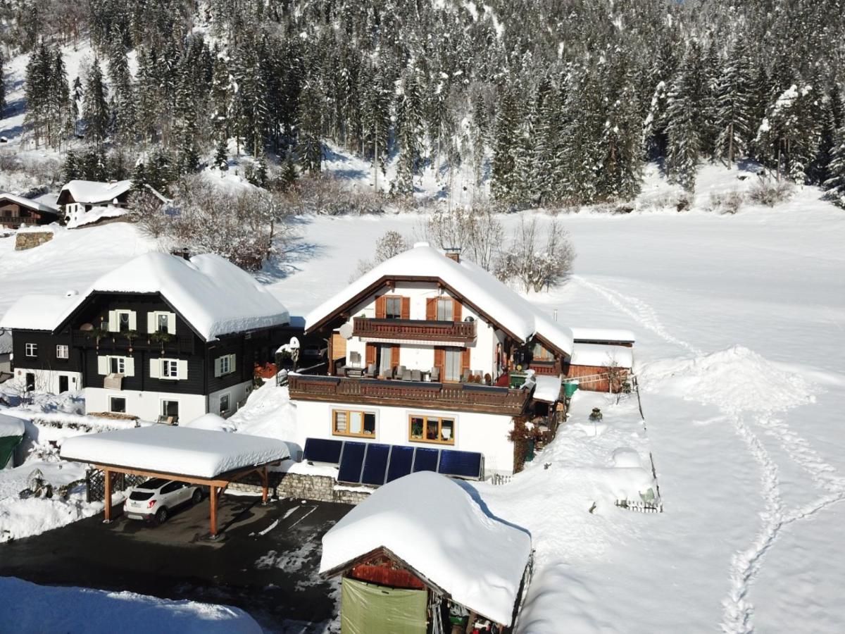Haus Birke - Housity