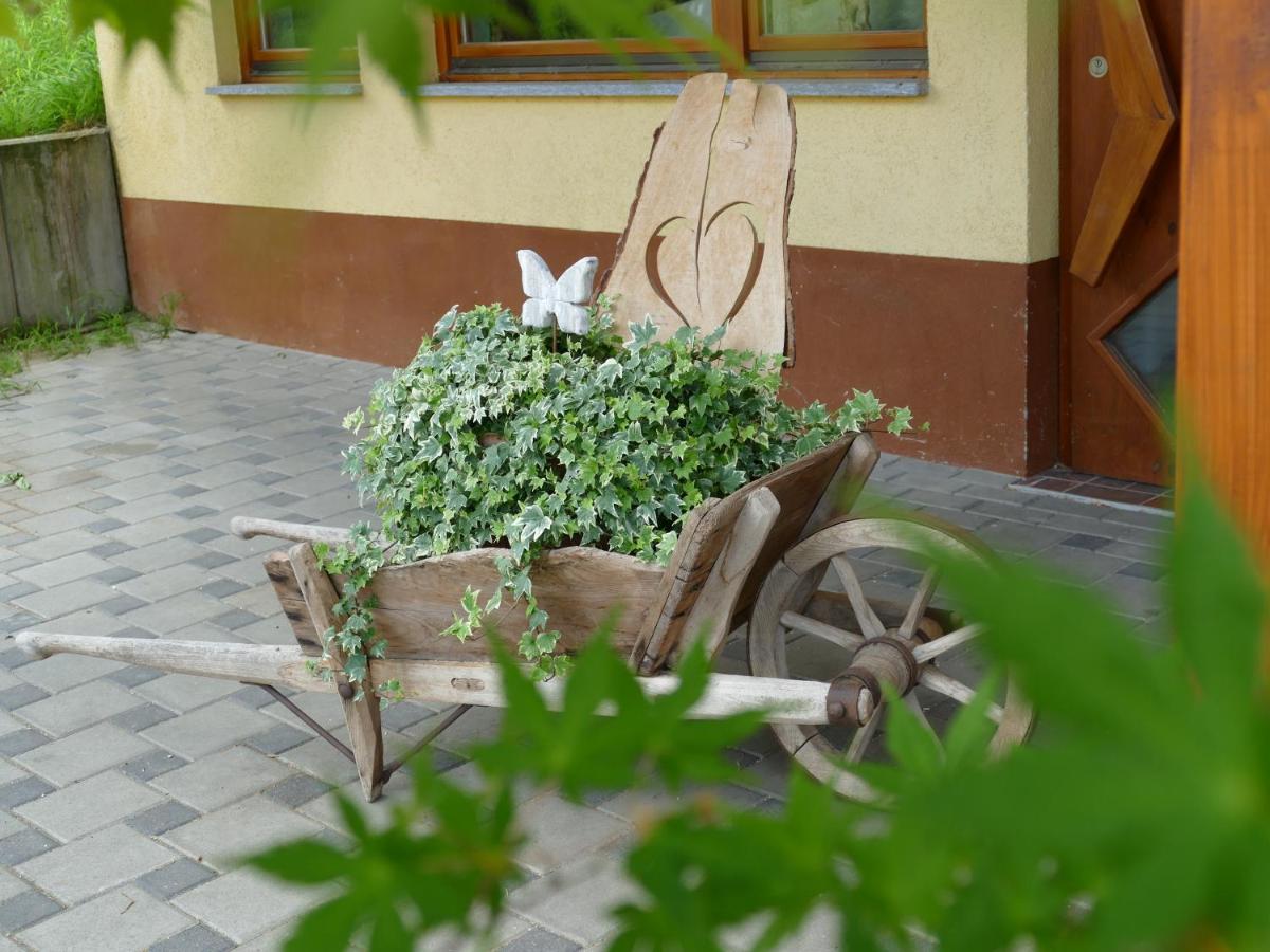 Ferienwohnung Lichtblick - Housity