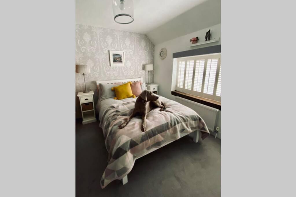 Angel Cottage, Boxgrove, Chichester - Relax and Unwind - Housity