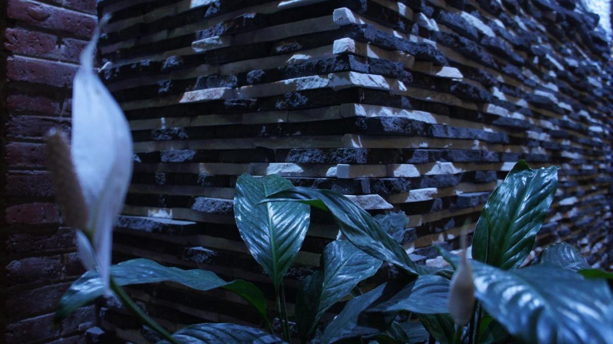 Posada y Spa Jade Teotihuacan - Housity
