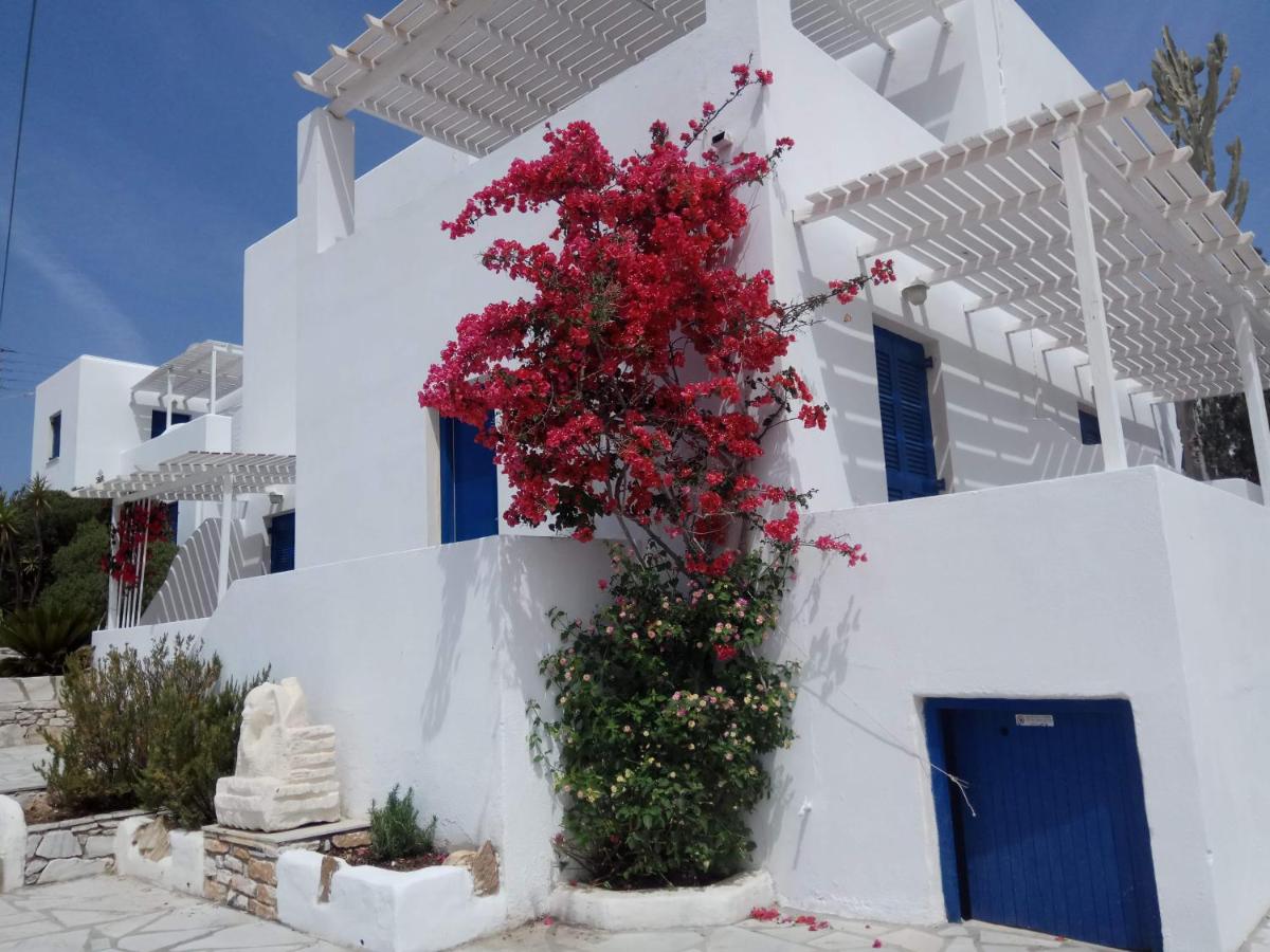 Nicos Studios & Apartments - Housity