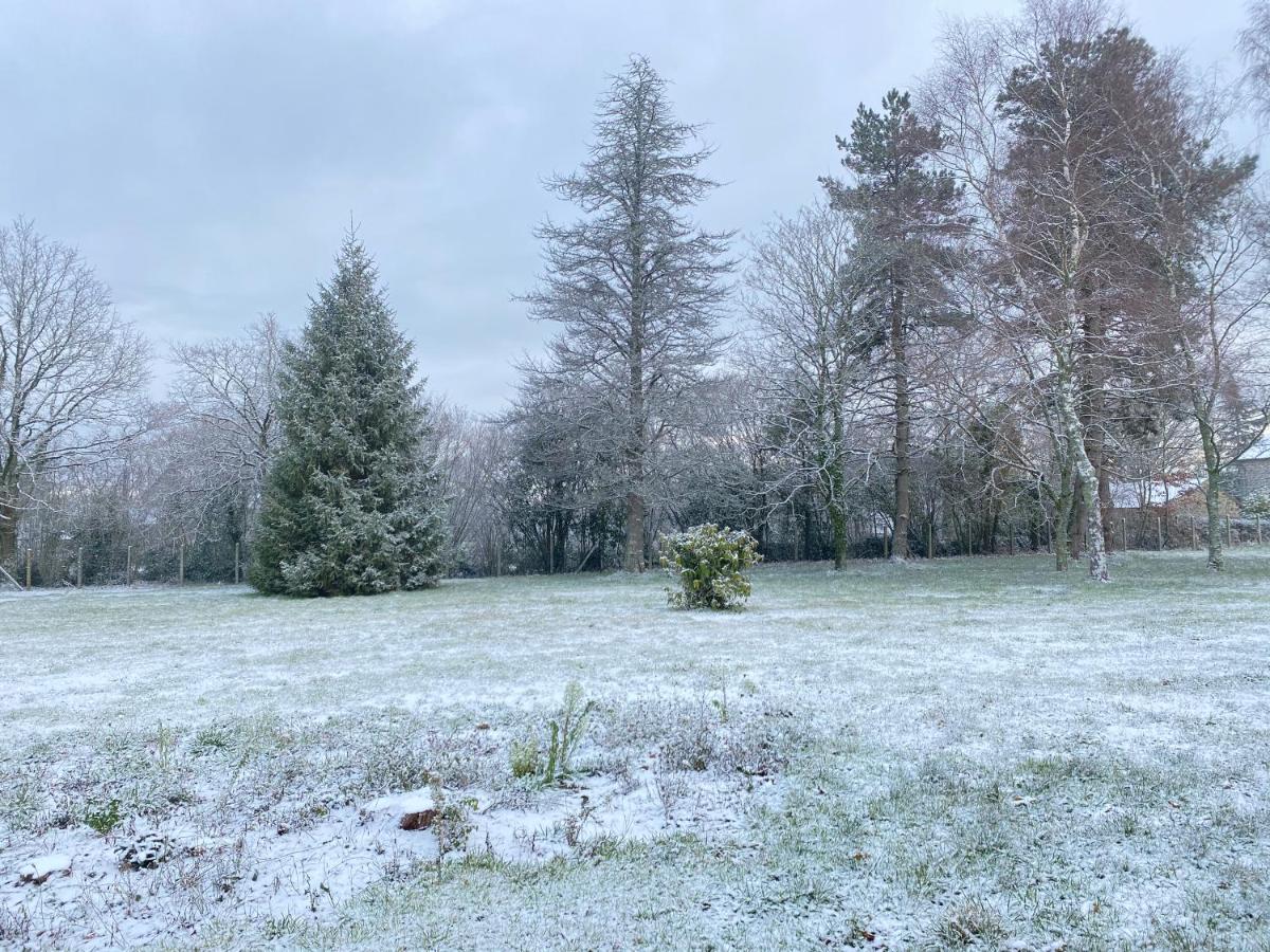 Spacieuse maison dans un parc privée - Housity