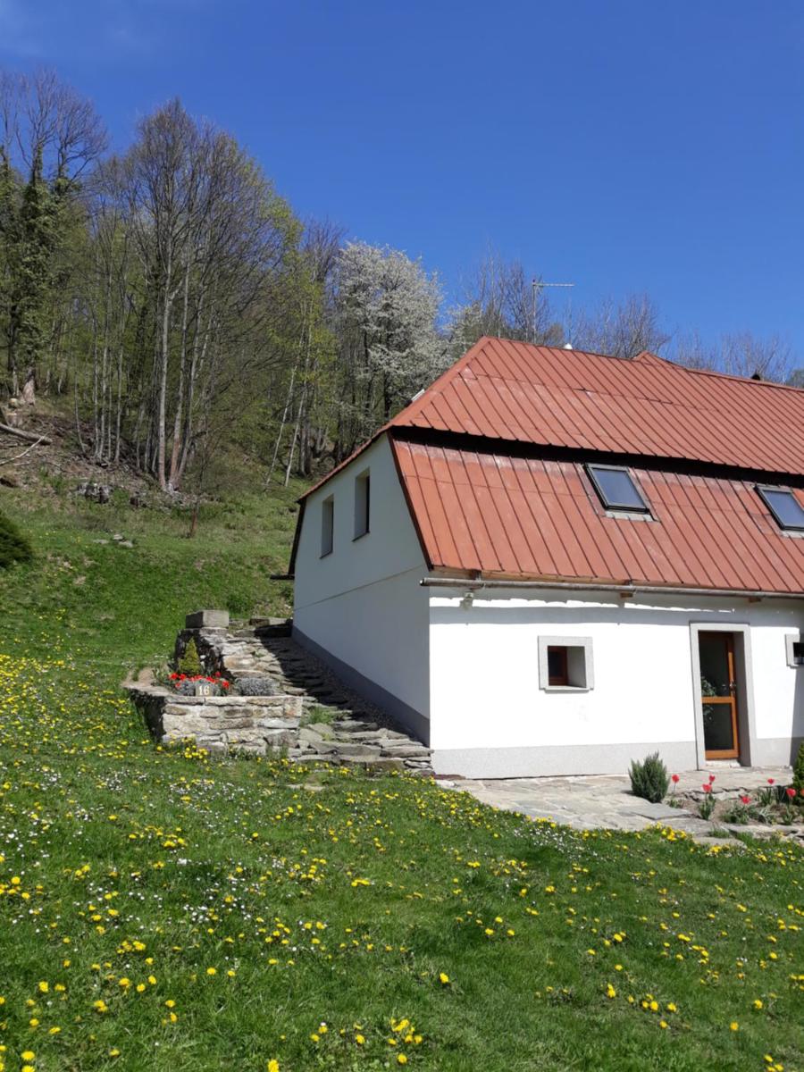 Pokoje Gościnne Thank You Life, Apartament 1 Feel Good - Housity