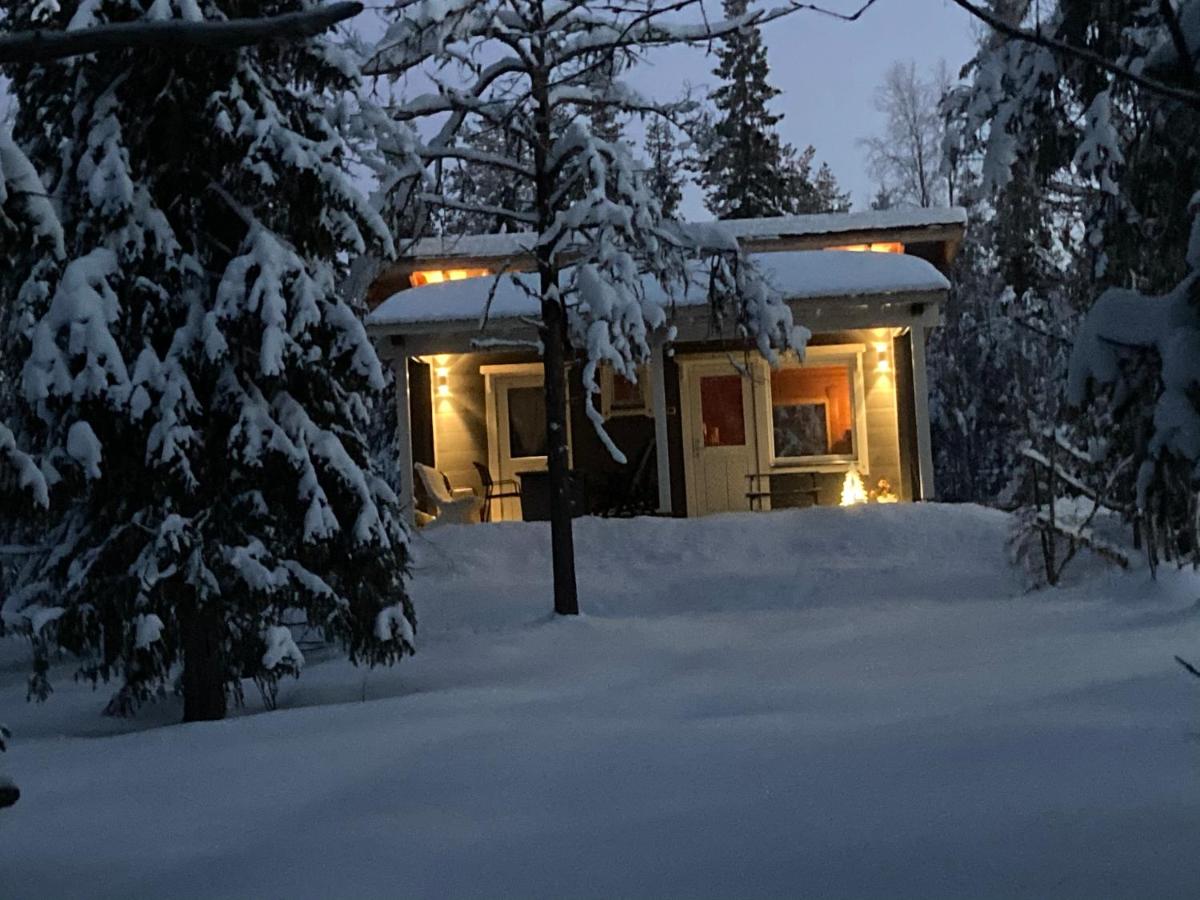 Villa Kaltio - Housity