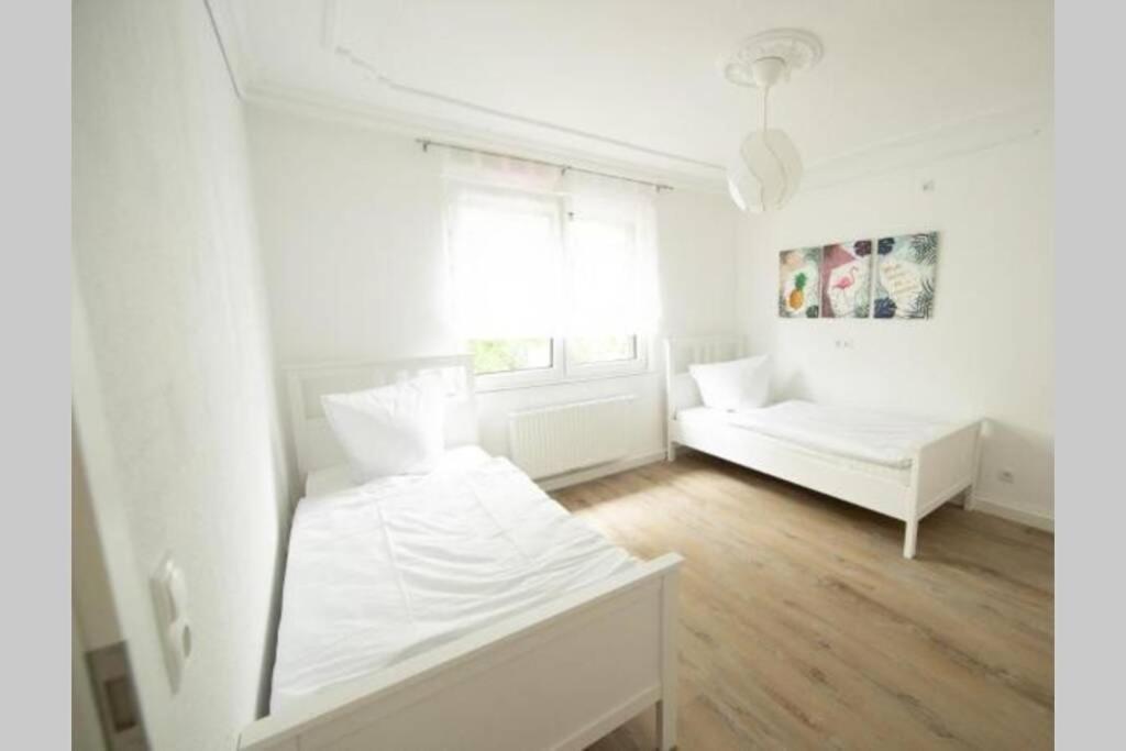 Brühl Mitte, neu renoviertes Haus - Housity