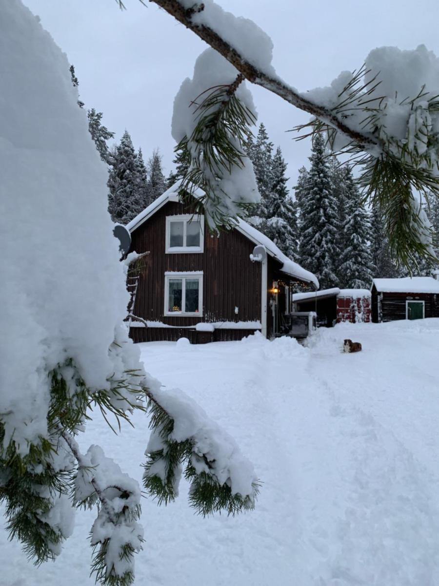 Suitetrails - Holiday House in Lapland, Överkalix