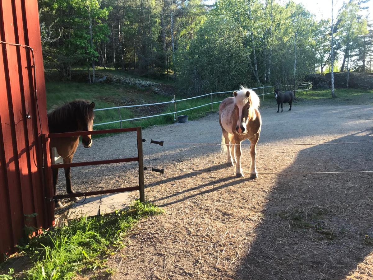 Nice holiday house at horse farm with lake and sauna - Housity