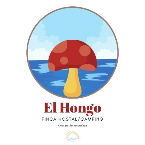 El Hongo Finca Hostal / Camping - Housity