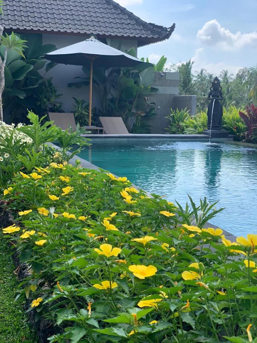 Paraiso Cottage Ubud - Housity