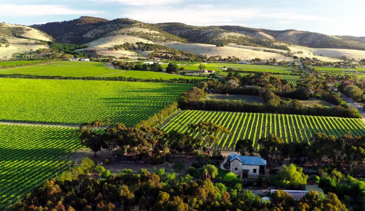 The Old Chaff Mill Organic Vineyard Retreat - Housity