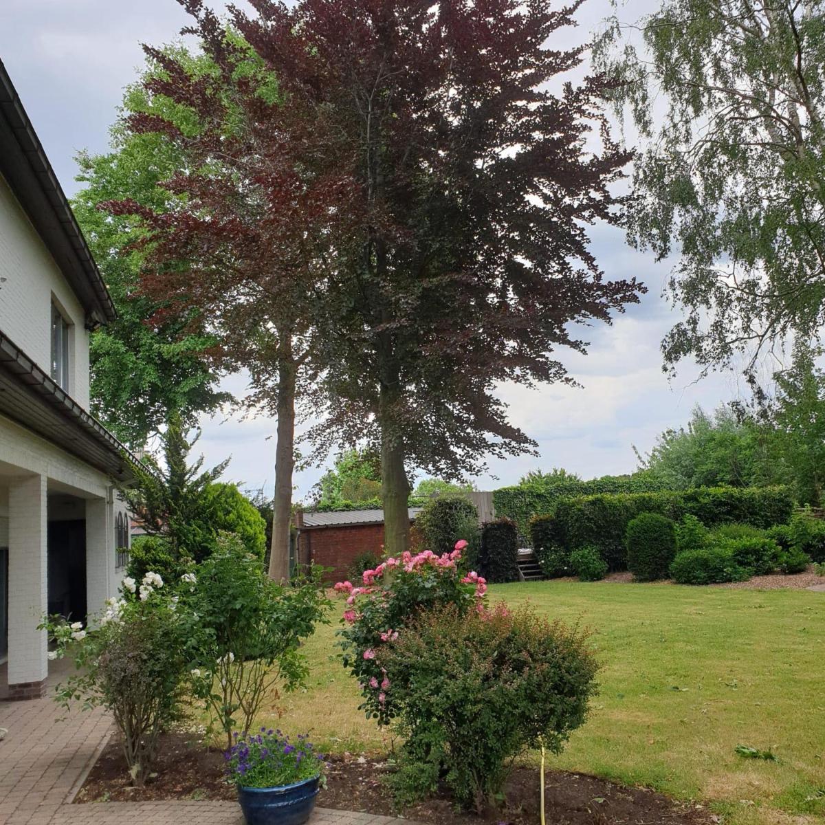 villa Tack - Housity