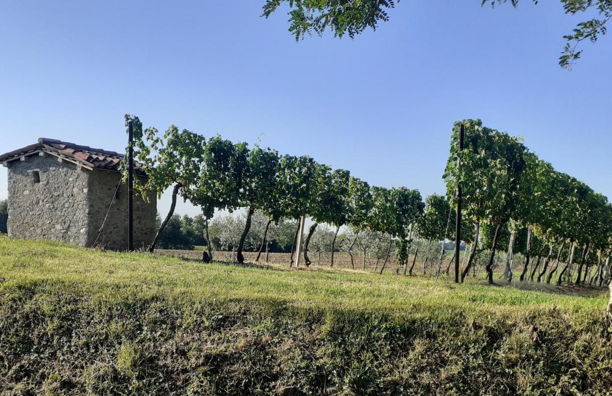 Vicolo Del Nido B&B - Housity
