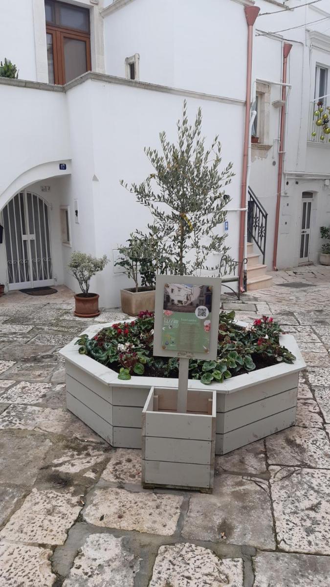 Monolocale ad un passo dalla chiesa del Carmine - Housity