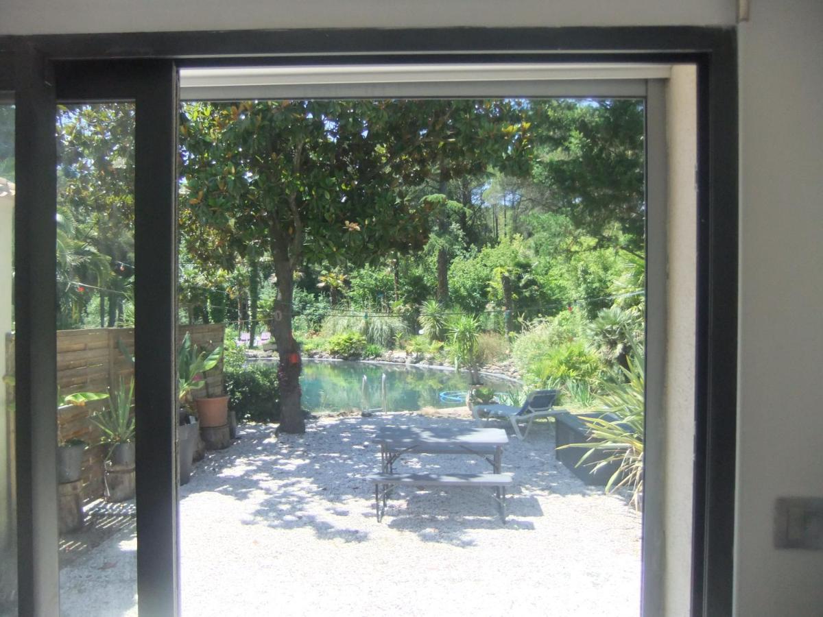 Chambre studio Verparadis - Housity