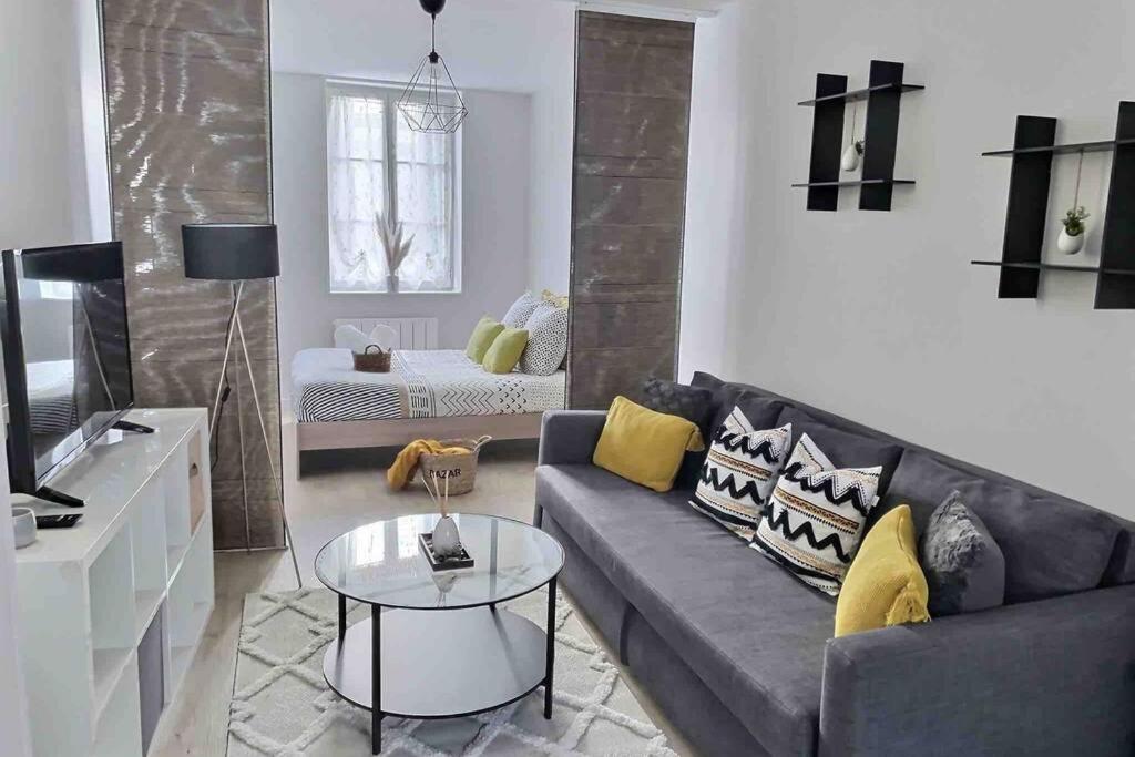 Grand studio cosy 33m2 - hypercentre - Housity