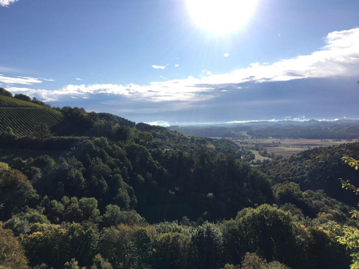 Die Mayerei - Hizvo