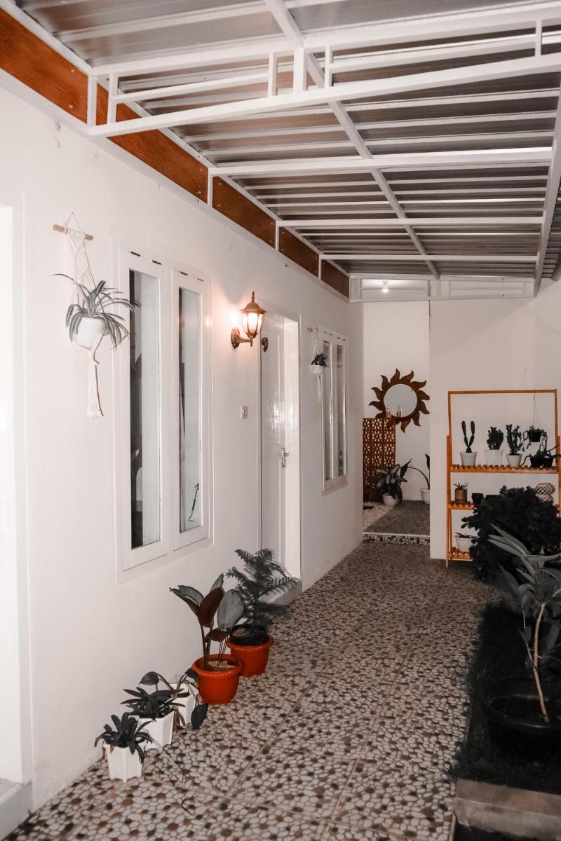 Tropical Paradiso Homestay - Hizvo