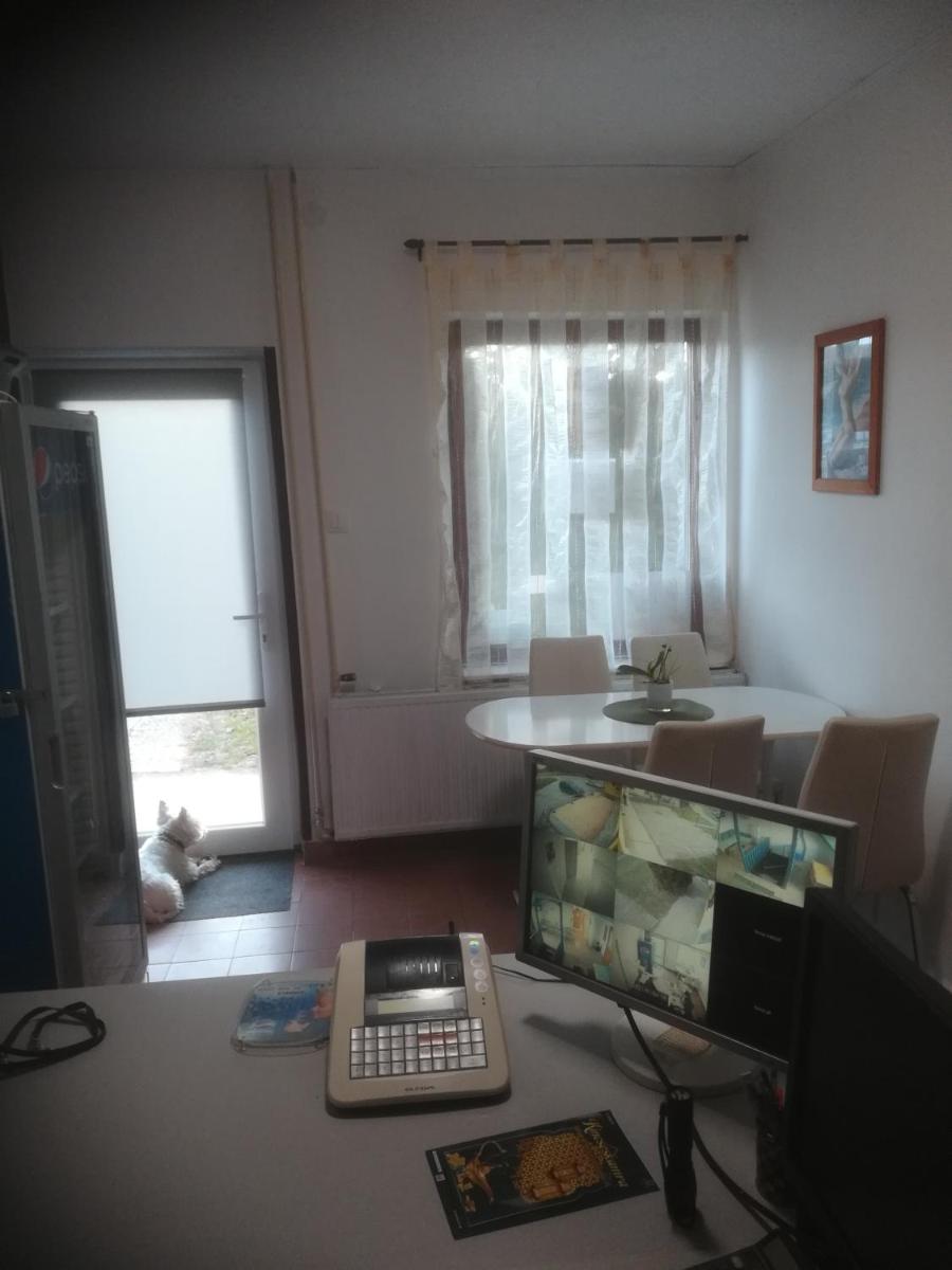 Fekete Macska Panzió - Housity