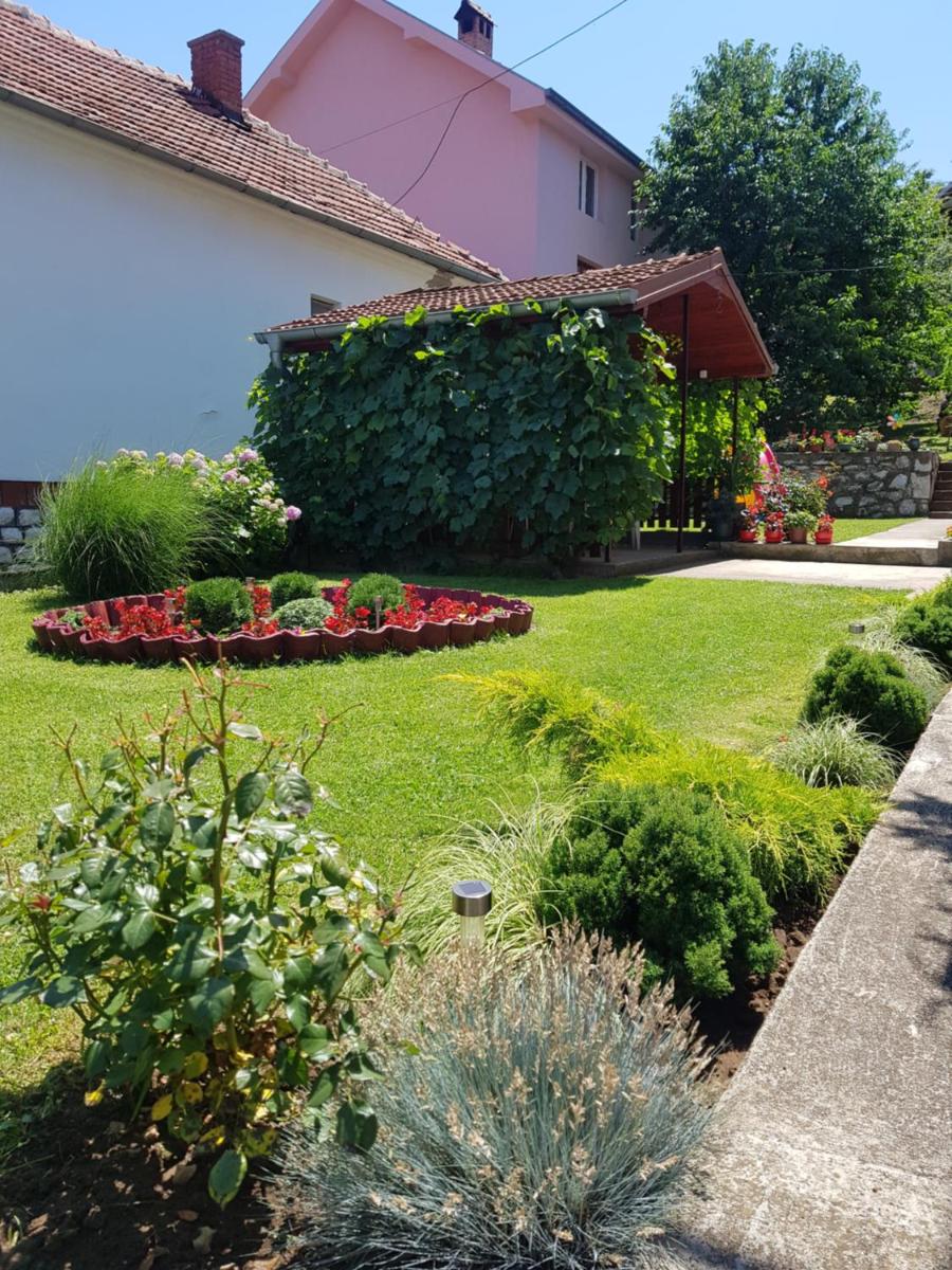 Apartmani Vila Danica - Housity
