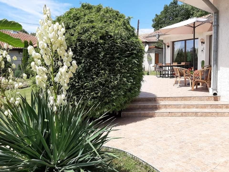 Guesthouse Oasis-Shabla - Housity