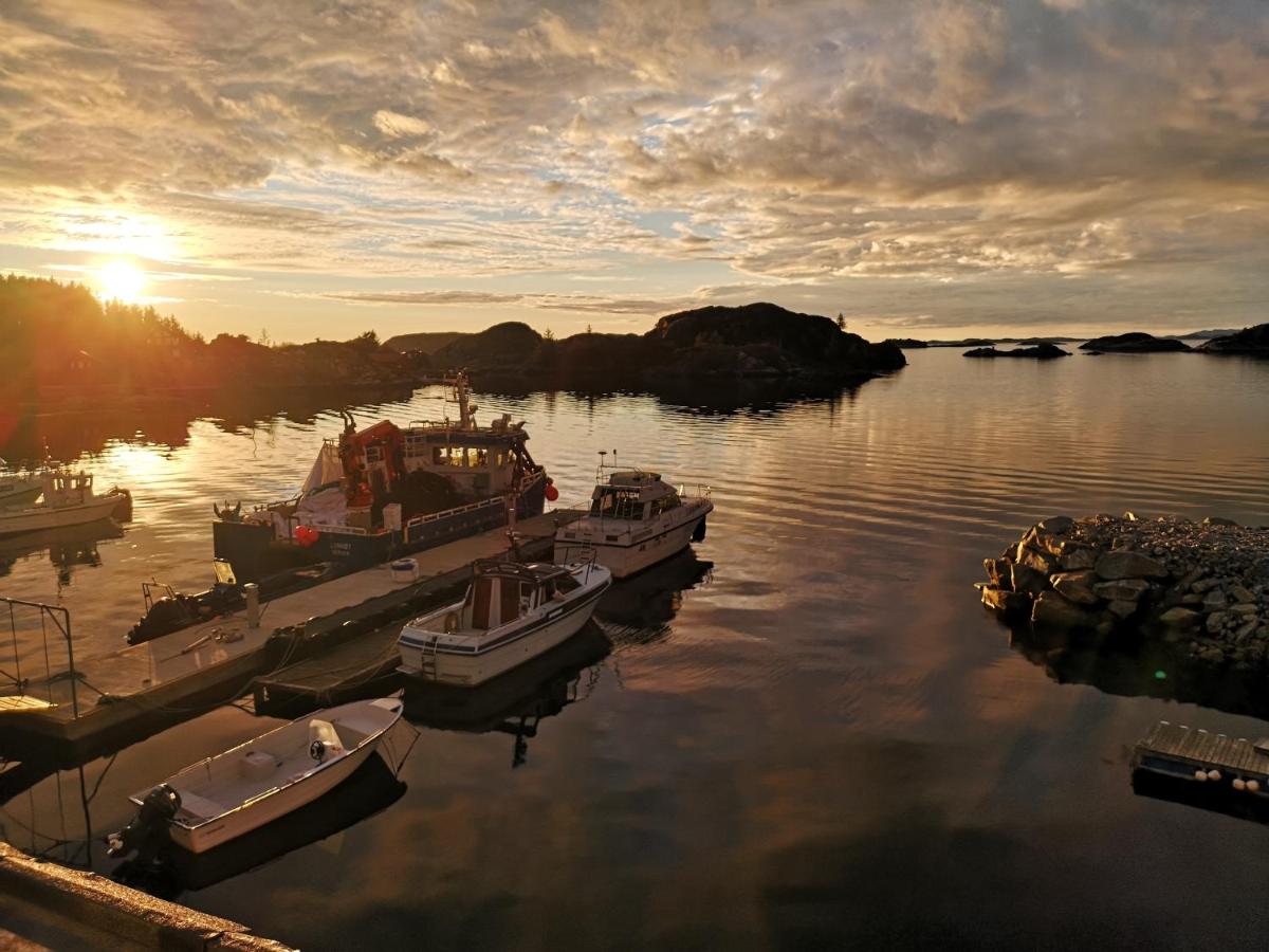 Kobbaneset Olga - Tett på havet - Bekkjarvik - Housity