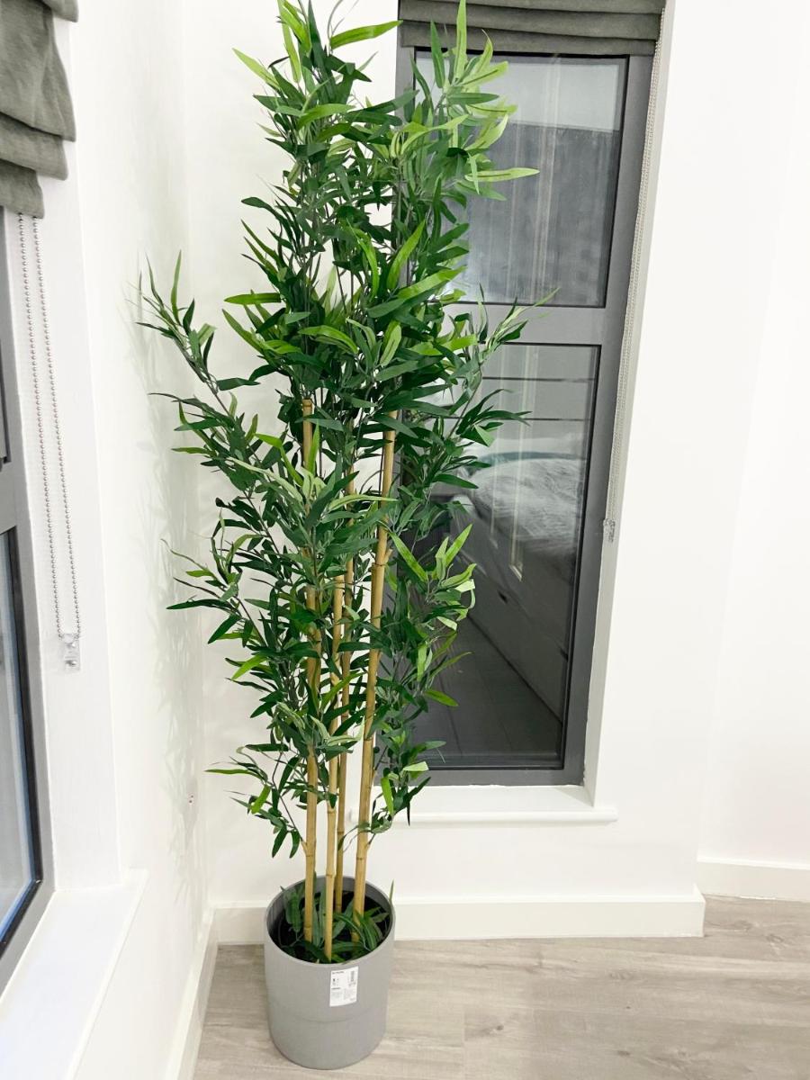 The Works - Private one bedroom apartment - Housity