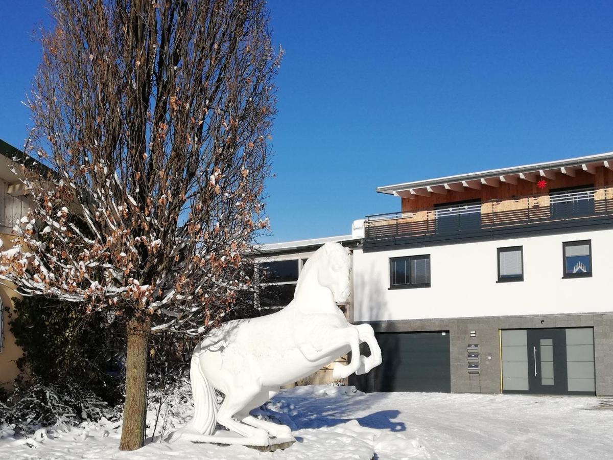 Ferienwohnung an der Reitanlage - Housity