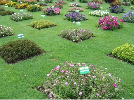 Le Petit Nid - Housity