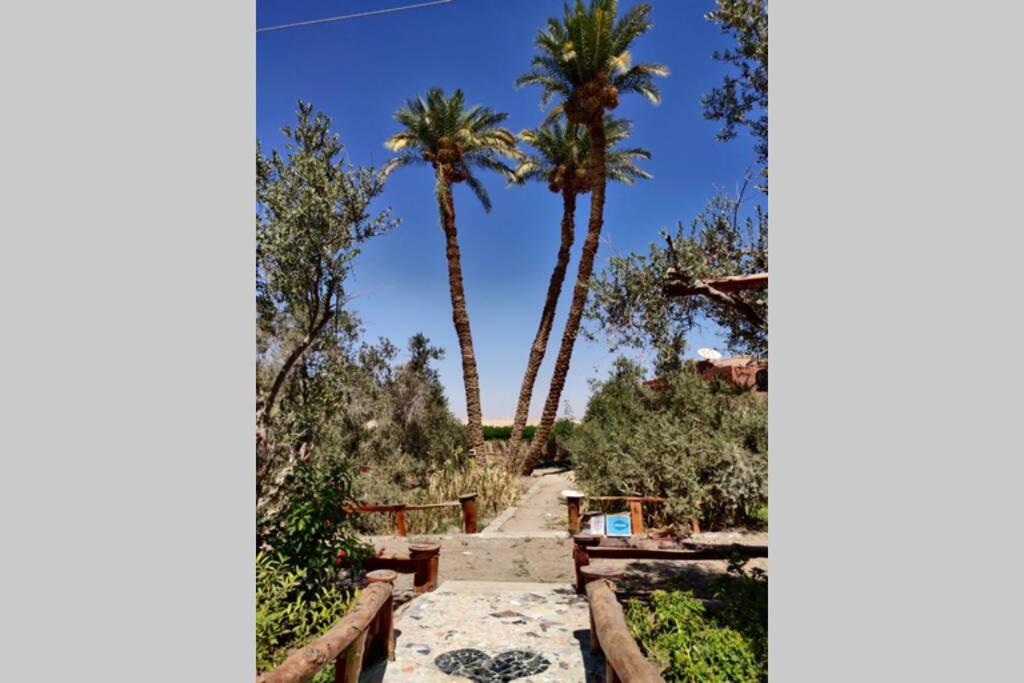 Casa Byoum Garden House - Housity