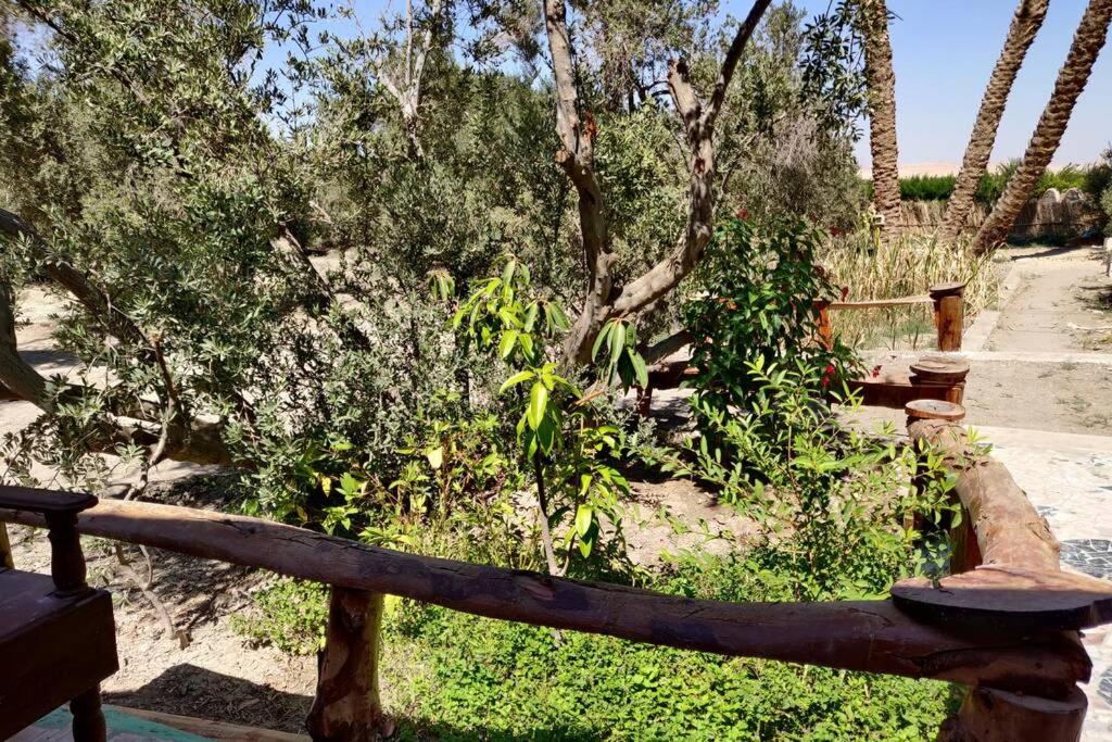 Casa Byoum Garden House - Housity