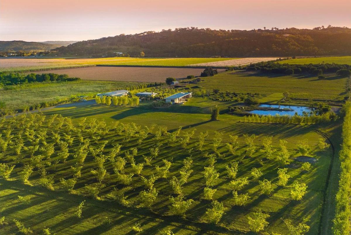 Orchard Cottage - modern Australian Sunshine Coast holiday cottage on organic farm nr beach - Housity