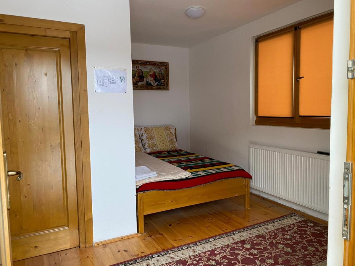 Camere de închiriat Floarea reginei - Housity