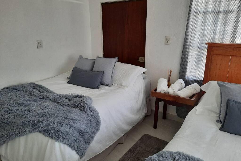 Suitetrails - Cozy apartment downtown