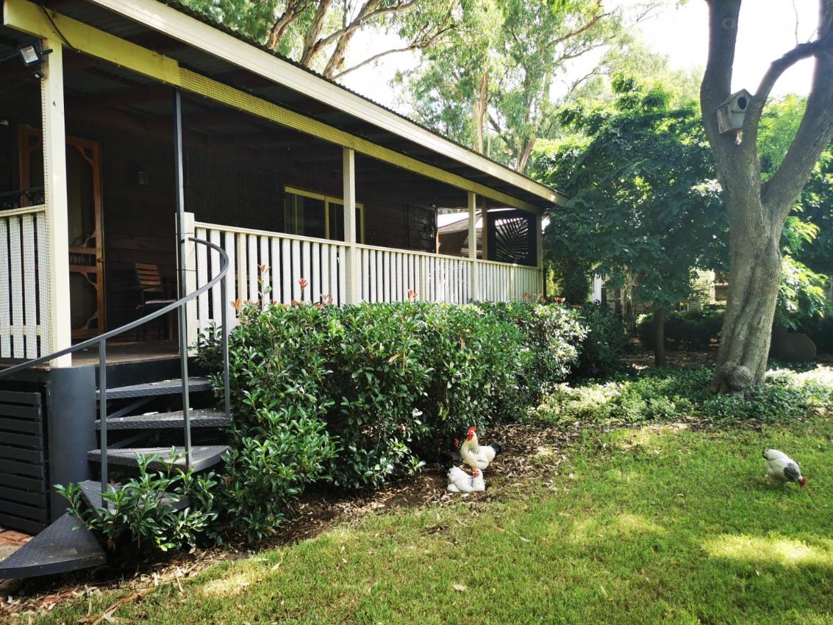 Peaceful cabin in a rural setting 2km from CBD - Housity