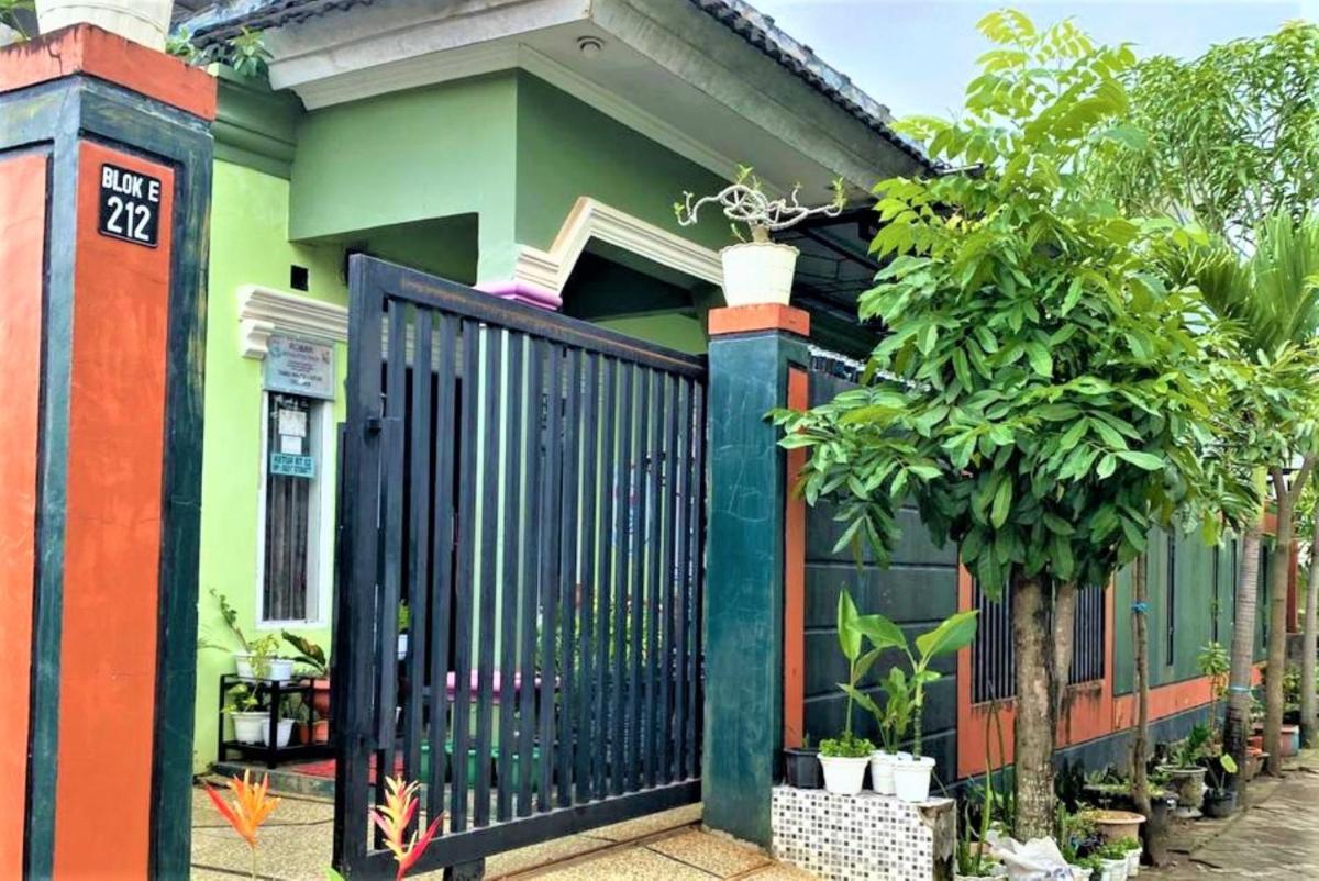 Buntusu Guest House - Housity