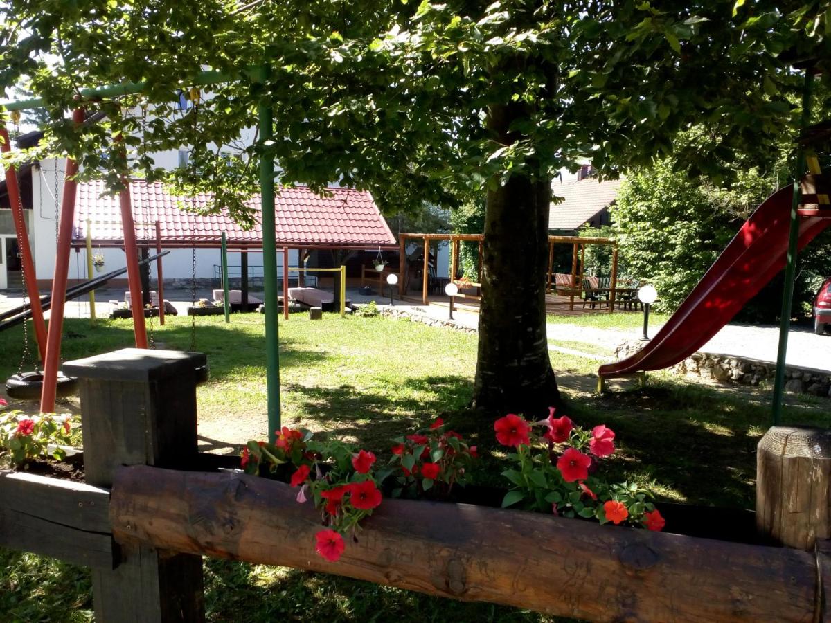 Guesthouse Arnika - Housity
