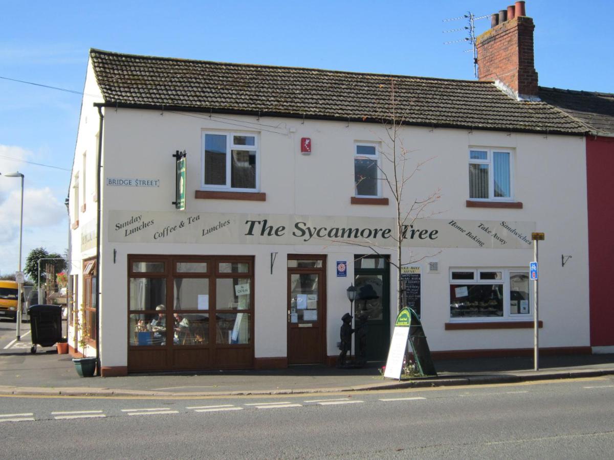 The Sycamore Tree - Housity