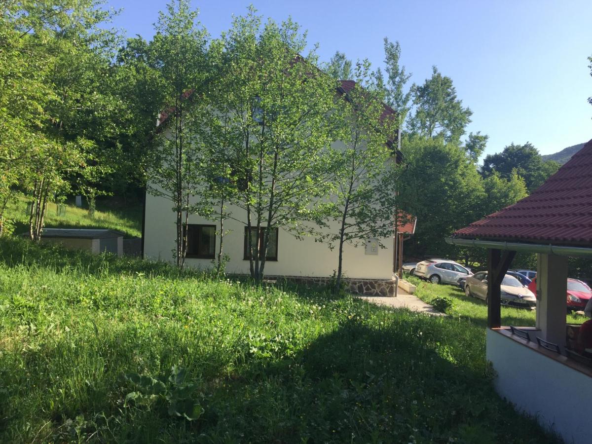 Alina House - Housity