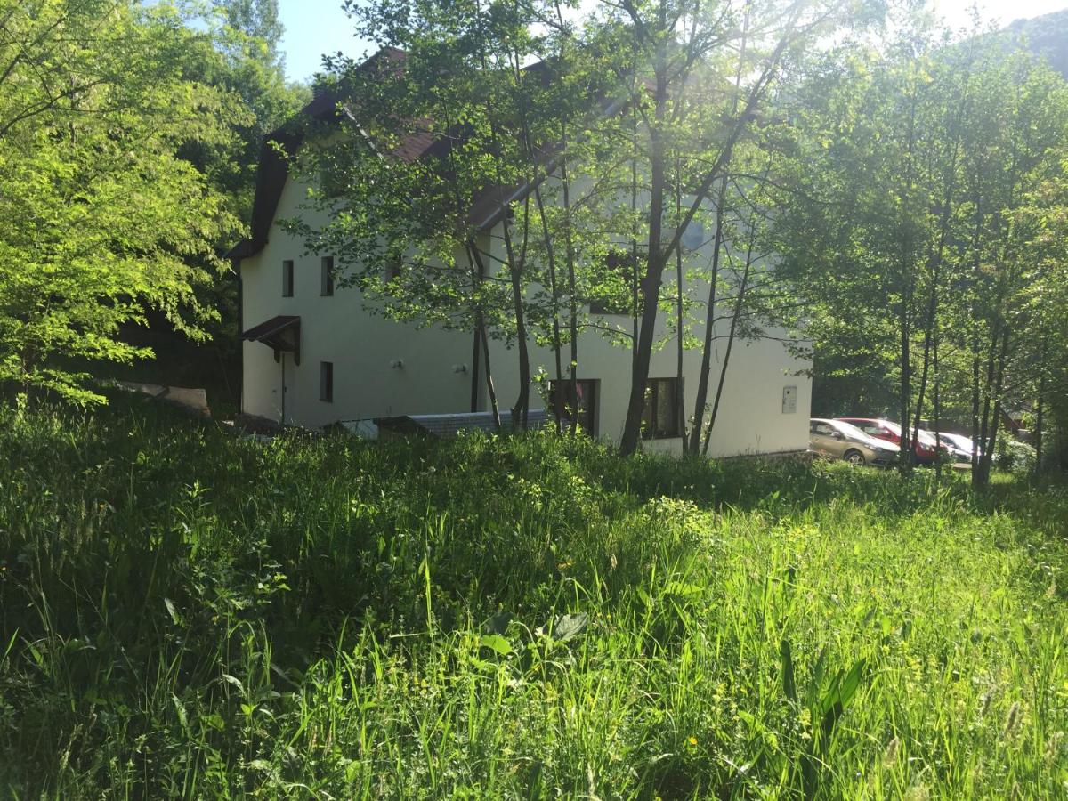 Alina House - Housity
