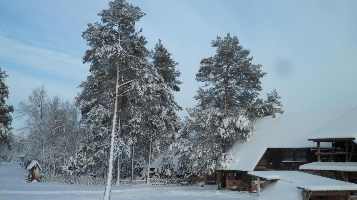 Viruna Farm - Housity