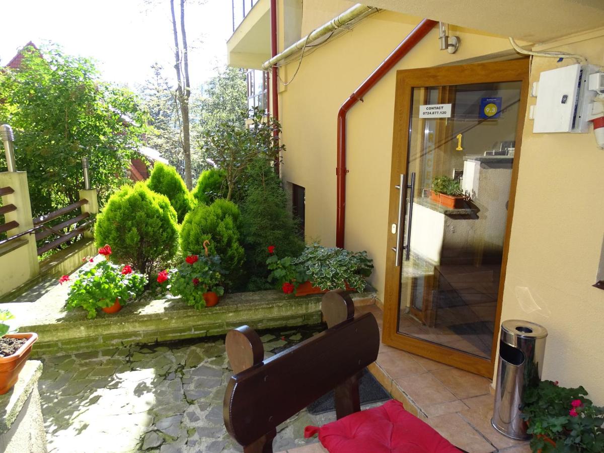 Alpin Residence - Housity