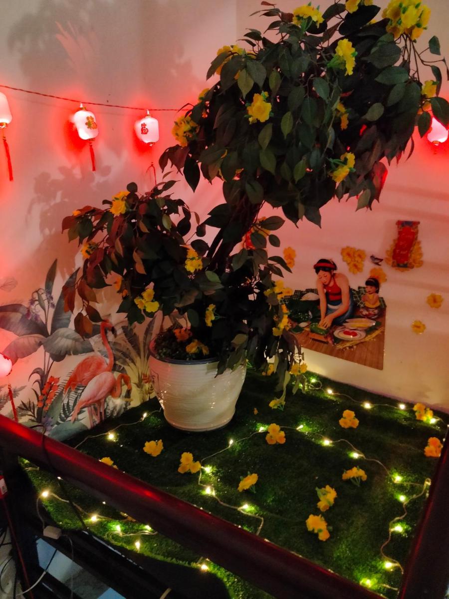 Tuấn Anh Motel - Housity