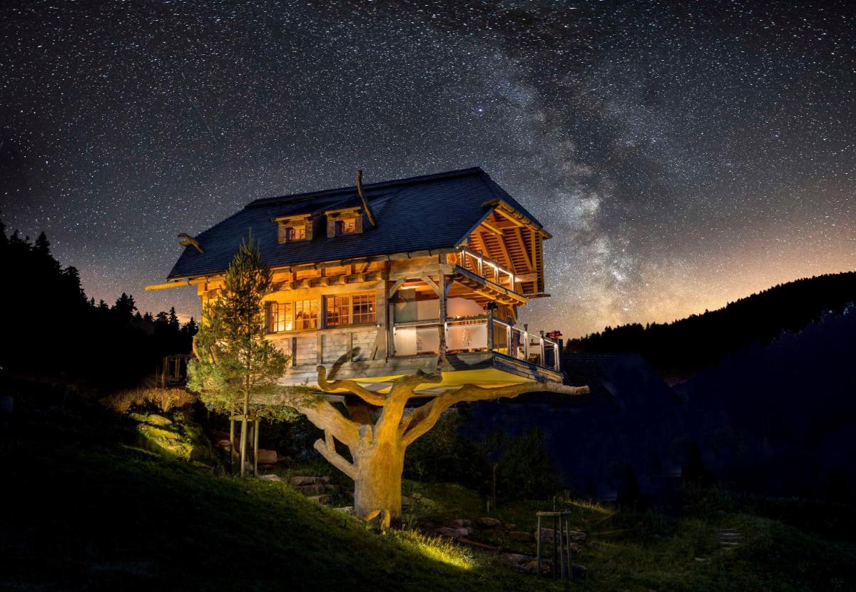 Tanne Tonbach - Wellness & Wohlfühl Hotel - Housity