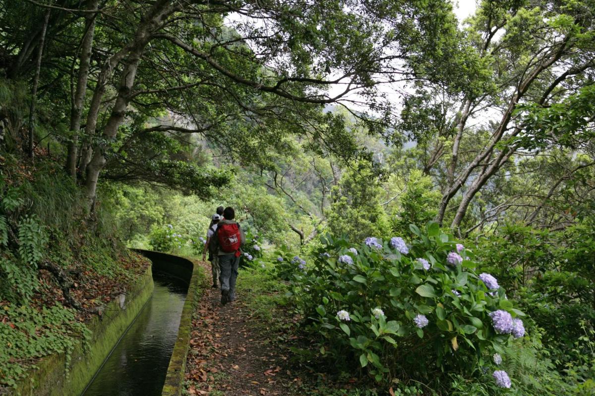 Os clientes hospedados em Estalagem Da Ponta Do Sol