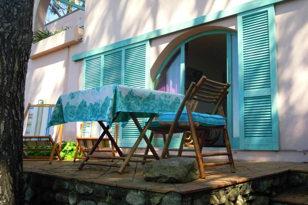 MINI SUITE ULIVO - Housity
